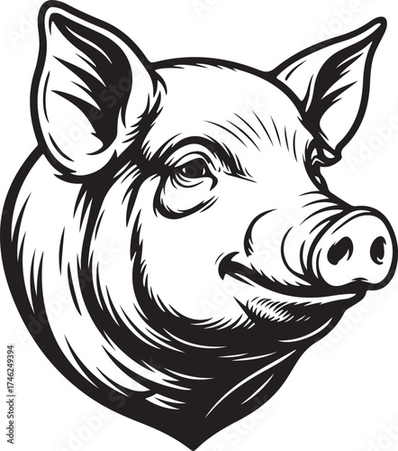 Detailed Pig Head Illustration Hog Mascot & Butcher Shop Graphic