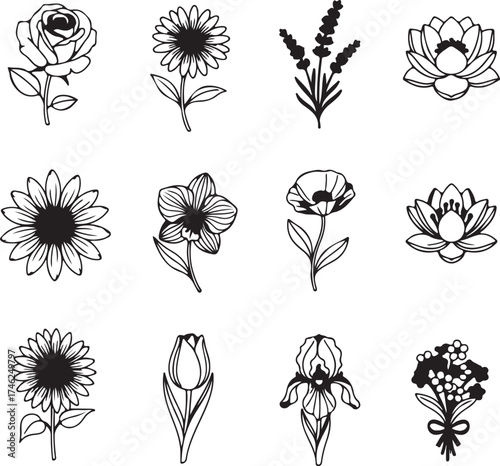 set of black and white flowers