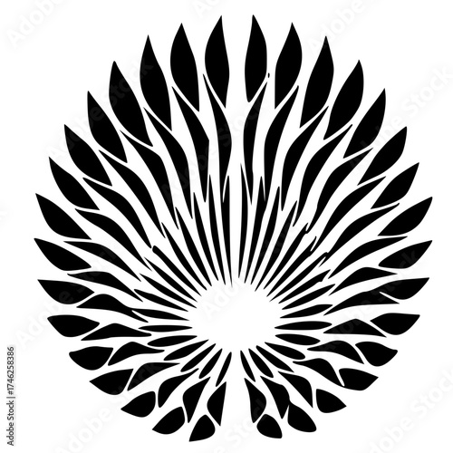 Minimalist abstract black and white leaf pattern design vector illustration for nature inspired backgrounds and prints vacter Vacter