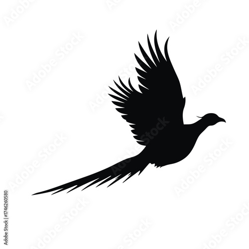 Silhouette of a bird in flight wings spread dark and dramatic