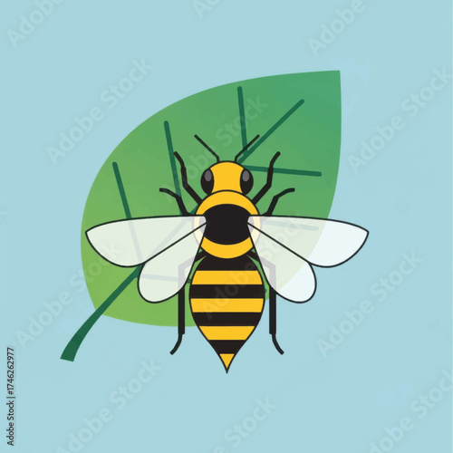 Honeybee on a Leaf Illustration.