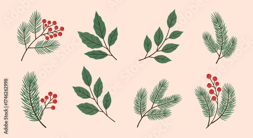 A collection of festive winter botanical elements including pine branches and red berries.