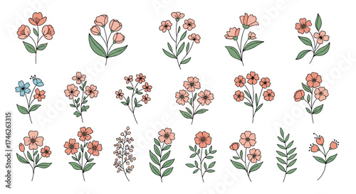 A delicate collection of watercolor floral illustrations.