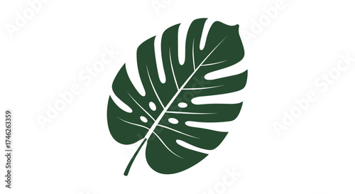 Discover the beauty of the monstera deliciosa plant and its unique features.