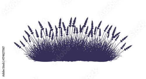 Delicate purple lavender stalks with textured brush strokes for natural beauty and rustic design elements