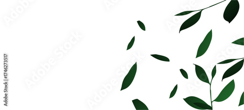 green leaves background