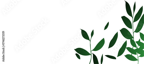 green leaves on white background