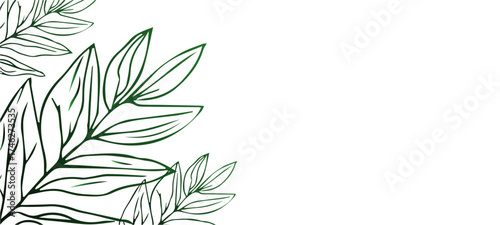 vector floral background