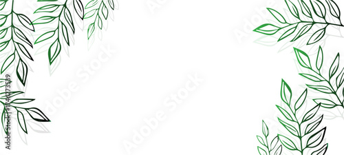 bamboo frame vector