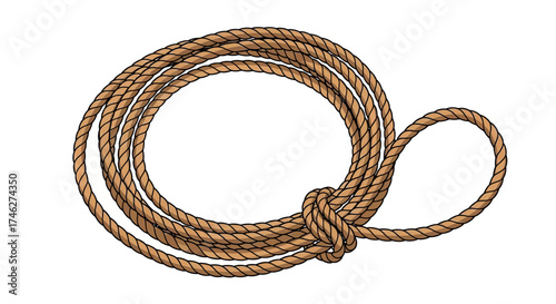 Coiled brown rope with loop on white background.