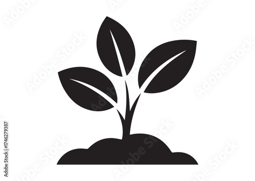 Young sprout with three leaves icon, Young sprout with three leaves solid vector
