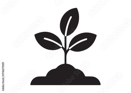 Young sprout with three leaves icon, Young sprout with three leaves solid vector