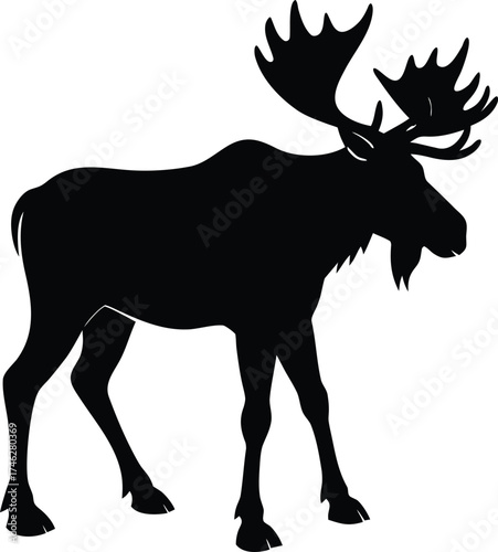 Majestic bull moose with large antlers standing in profile a striking black silhouette on white background