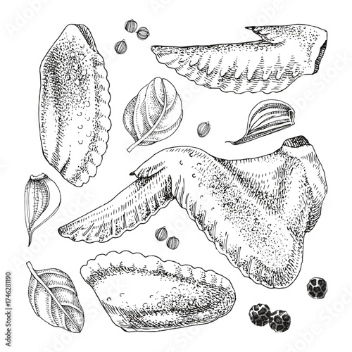Raw chicken wings meat food vector.