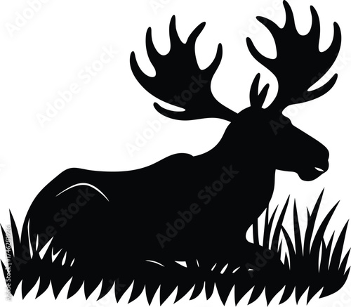 Majestic bull moose with large antlers resting in tall grass silhouette on white background