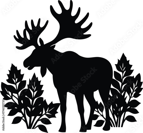 Majestic bull moose with large antlers standing in foliage silhouette on white background