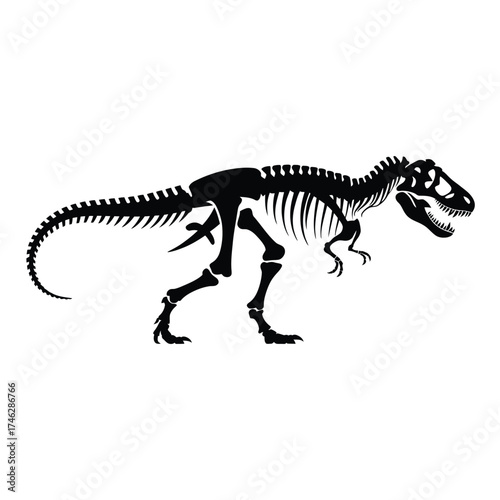 Silhouette of a tyrannosaurus rex dinosaur skeleton on a white background