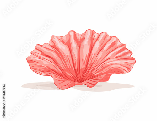Coral Shell flat illustration