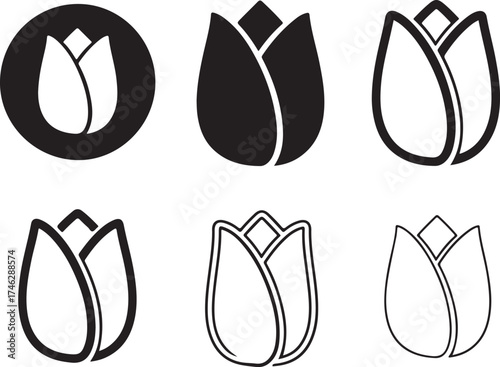 Minimalist tulip floral designs in varied styles on transparent background silhouette