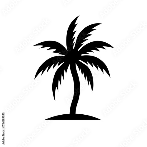 palm tree silhouette
