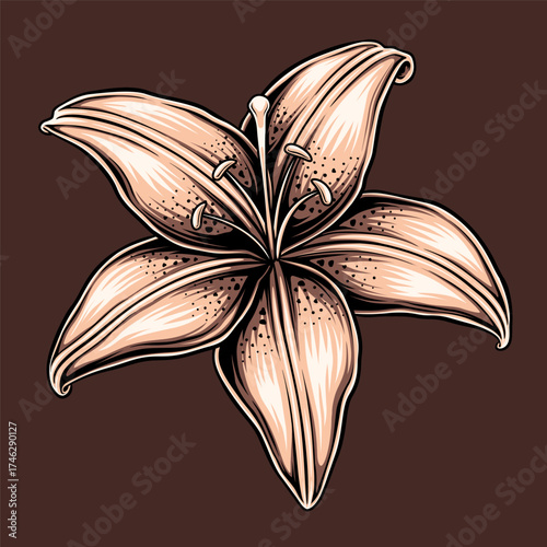 lily flower illustration with classic colors for decoration
