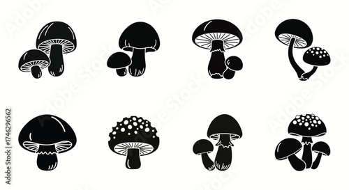 Black mushroom illustrations on white background fungi