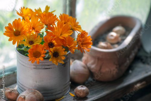 beautiful bouquet of orange and yellow marigold officinal flowers and bulbs b...