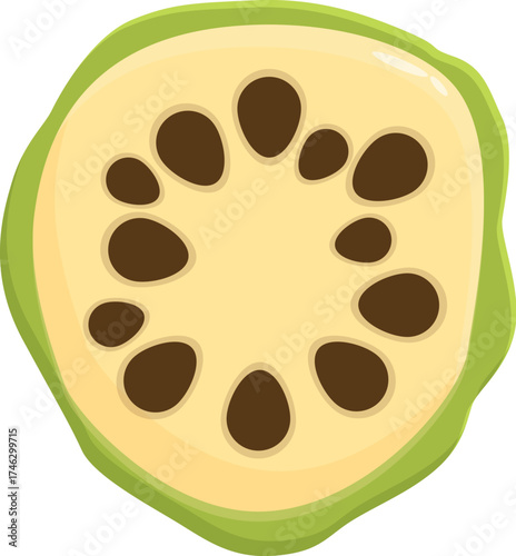 Cross section of a soursop fruit highlighting its seeds, flesh, and rind