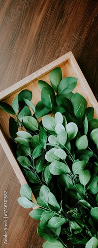 Fresh Green Leaves Arrangement on Wooden Tray for Home Decor