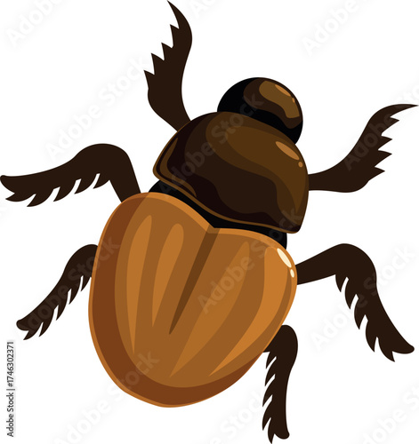 Colorful illustration of a dor beetle crawling, showing its shiny brown carapace and segmented orange abdomen