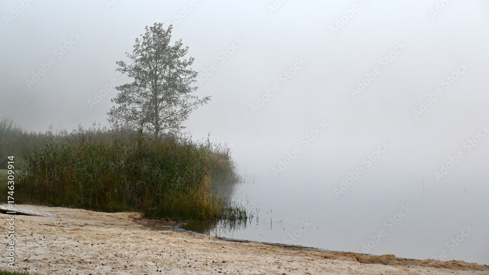 custom made wallpaper toronto digitalearly autumn morning by the lake, fog hides the outlines of trees and bushes, blurred background