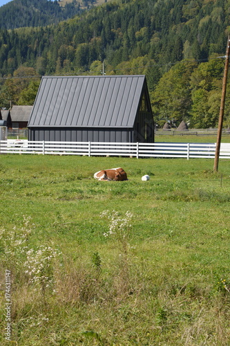 barn in the countryside