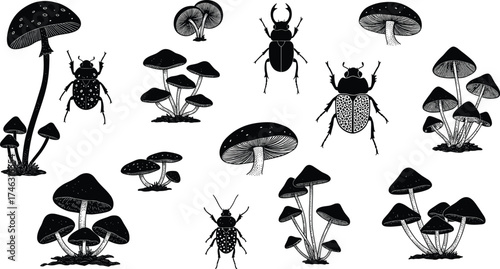 Mushroom and beetle silhouette set, black and white nature clipart, botanical fungi drawing, insect vector illustration, entomology art