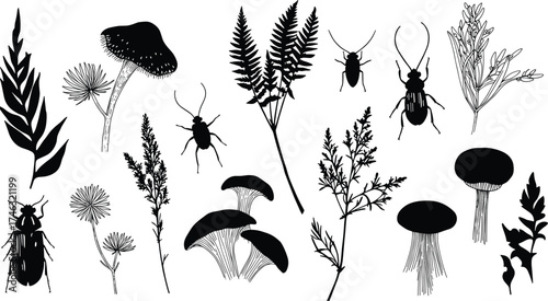 botanical plant and insect silhouette, black forest mushroom collection, nature foliage vector illustration, wild herbs and beetles design