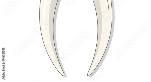 Two large white tusks curved inwards.