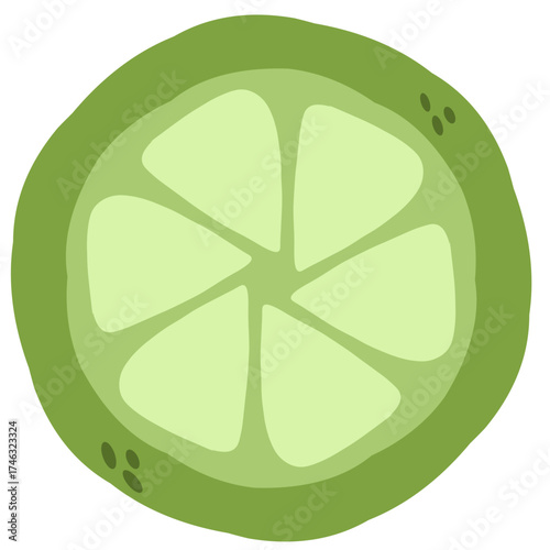 Lime slice vector