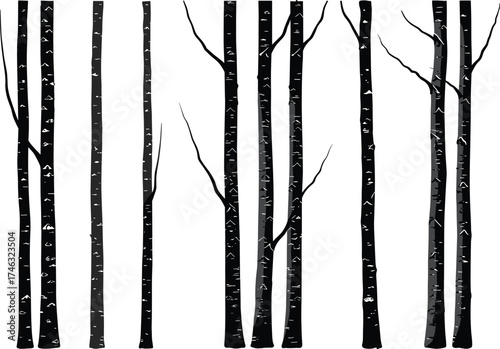 Set of birch tree trunk silhouettes with minimal branches, black forest vector illustration design for nature and ecology on white background concept