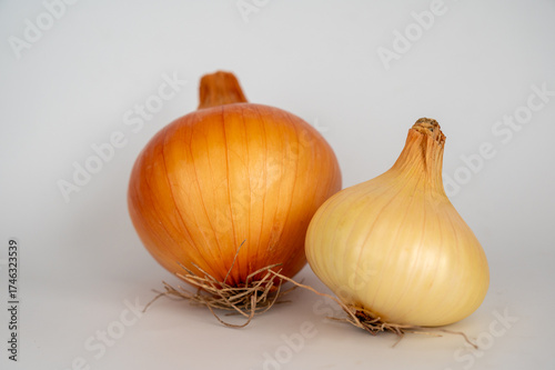 two fresh organic onions isolated on white background.