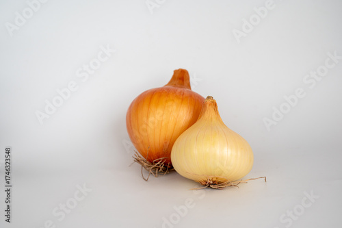 two fresh organic onions isolated on white background.