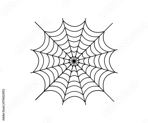 spider web vector illustration