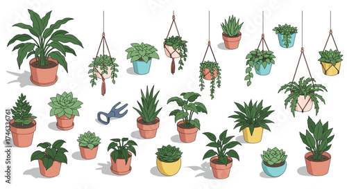 Charming collection of potted plants and hanging planters in hand-drawn style