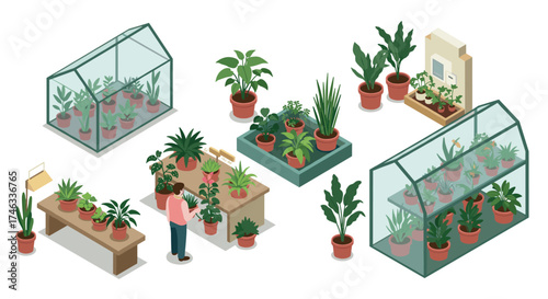 Indoor gardening collection with greenhouse and potted plants in isometric style