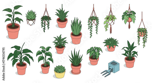 Potted houseplants collection in modern flat style with minimalistic design