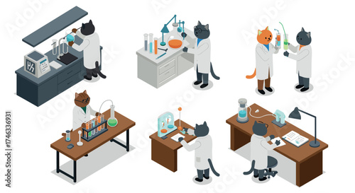 Isometric cats conducting science experiments in laboratory settings