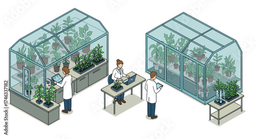 Scientists analyzing plants in modern greenhouse laboratory with advanced technology