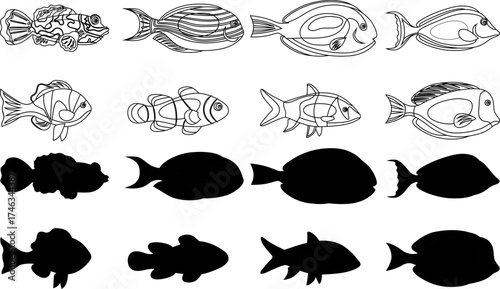 A collection of various fish species illustrated in both detailed line art and solid black silhouette forms.