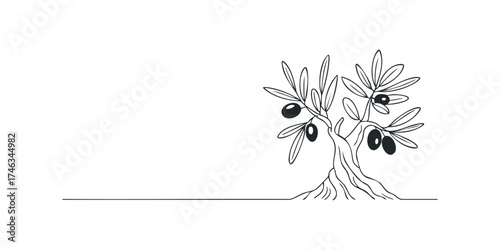 Black and white line drawing of an olive tree with fruit