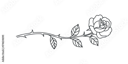Black and White Rose Stem With Leaves and Thorns