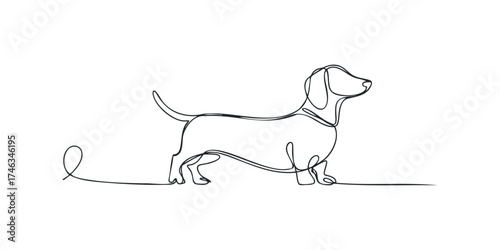 Minimalist continuous line drawing of a dachshund standing