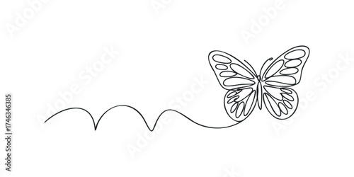 Butterfly outline with whimsical path
